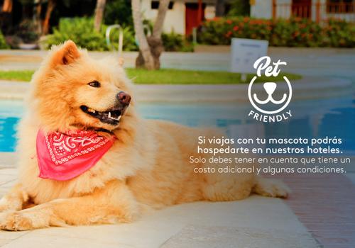 Admite mascotas Hotel ESTELAR En Alto Prado Barranquilla